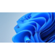Windows 11 logo