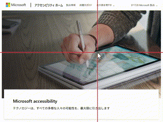マウス ポインターの十字線を起動しているようすの動画