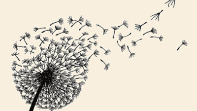 A black and white image of a dandelion with seeds blowing away.