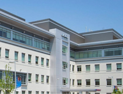 En bygning med mange vinduer og et tre foran.