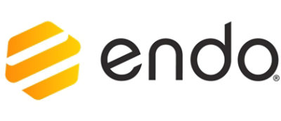 A yellow and white hexagon-shaped logo with the text endo.