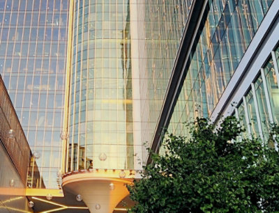 A tree with green leaves next to a building.