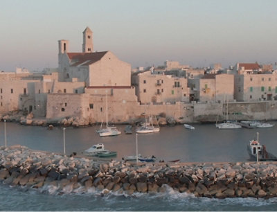 A bustling harbor in the city, showcasing several boats docked along the waterfront.