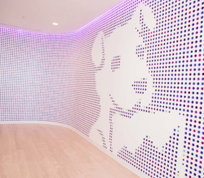 A room with a wooden floor and a wall featuring a picture of a dog.