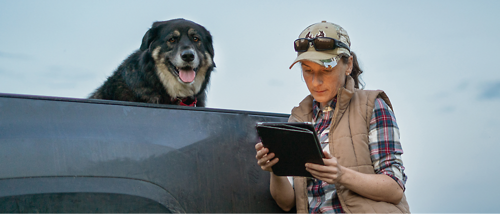 犬と一緒にタブレットを見ている女性