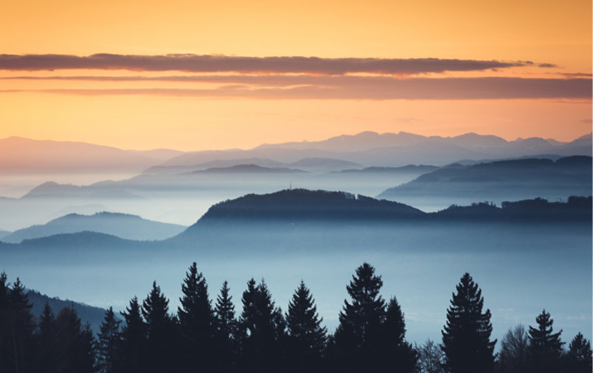 Trees are silhouetted against a tranquil backdrop of the sunrising over fog-covered mountains.