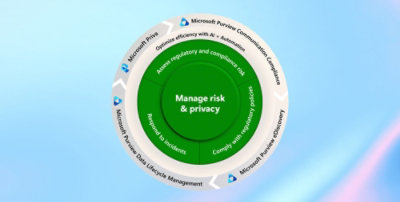 A diagram of a company's risk management