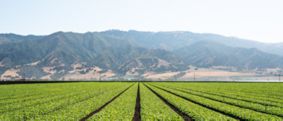 Taylor Farms delivers freshness and drives efficiency with Dynamics 365 ...