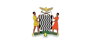 Smart Zambia Institute