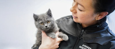 Animal Protection Denmark header image 