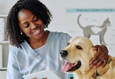 A women shaowing tab screen to a dog.