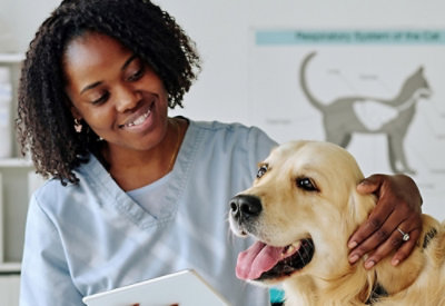 A person in scrubs holding a dog.