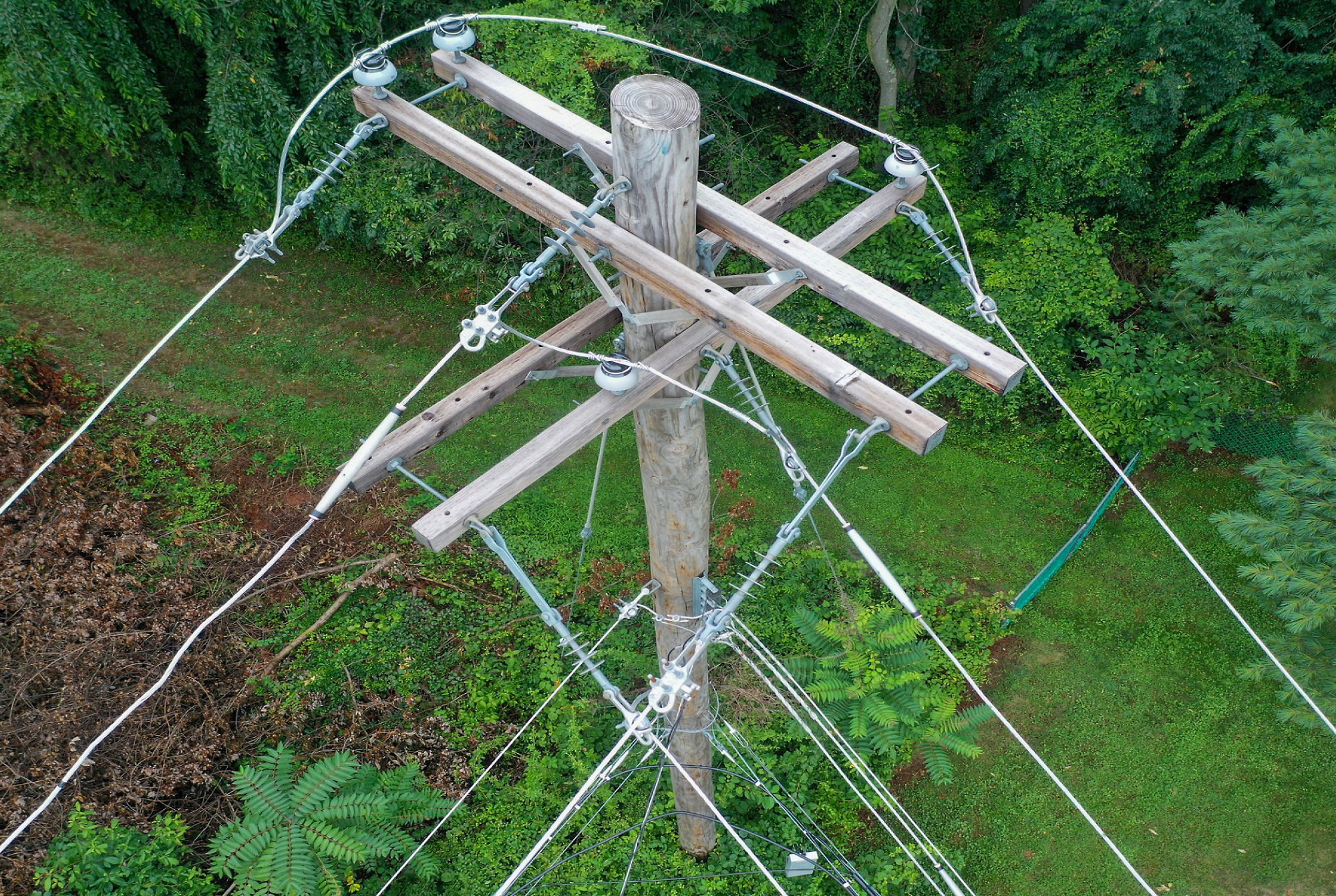 Aerial view of a wooden utility pole with multiple wires and insulators surrounded by green foliage.