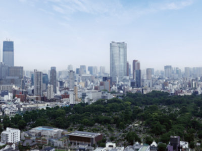 A panoramic view of a vast cityscape with numerous skyscrapers and buildings, bordered by a large expanse of greenery 