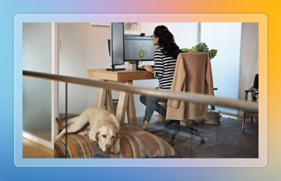 A person working from home on computer while a dog is sitting on couch.