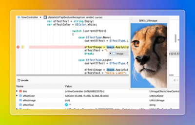 Application preview window showing an image alongside source code and runtime values during debugging.