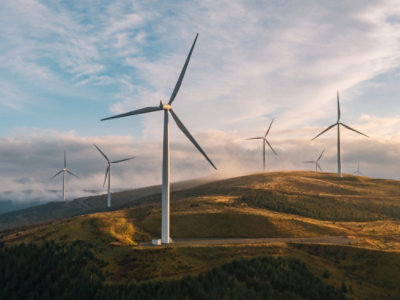 A group of windmills on a hill with Albany Wind Farm in the background