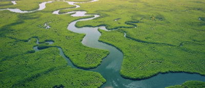 Řeka protékající zeleným polem