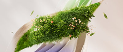 Zelená rostlina s květy