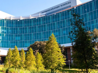 さまざまなプログラムを表示する 3 台のコンピューター モニターを備えたデスクに座っている人。