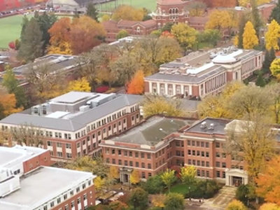 A city with trees and buildings