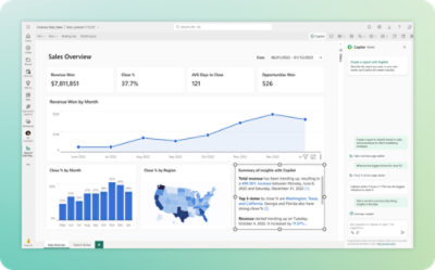A computer screenshot displaying a sales overview.