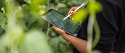 A person holding a tablet and stylus.