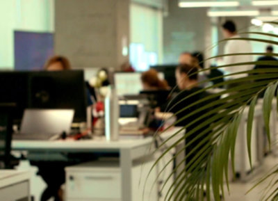 Detailní záběr listu