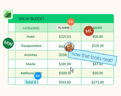 A screenshot of a computer screen displaying vacation budget categories.
