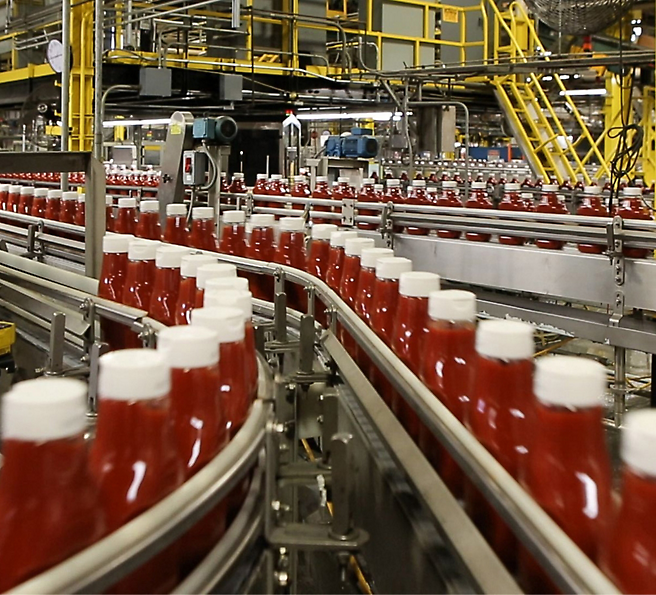 Bottling factory assembly line with numerous red bottles filled with liquid moving on a conveyor belt.