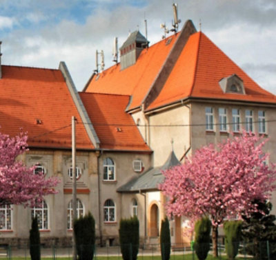 Здание с красной крышей и дерево с розовыми цветами.