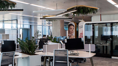 Kancelář s počítači a rostlinami.