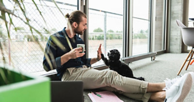 A person and dog high fiving