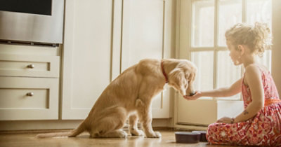 Mlada devojka u crvenoj haljini iz ruke hrani smeđeg psa u kuhinji sa belim kuhinjskim elementima i drvenim podom.