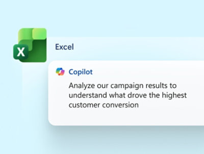 A copilot prompt in excel