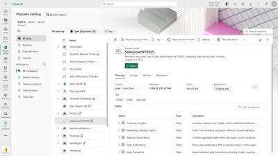A screenshot of a computer screen displaying onelake catalog