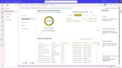 Purview Hub dashboard displaying sensitivity label coverage, workspace insights, and a table of labeled items.