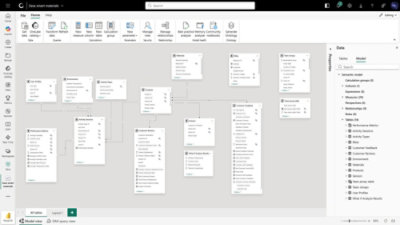 Customer analytics data model view