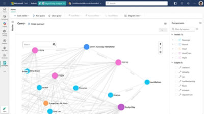 Flight graph query visualization