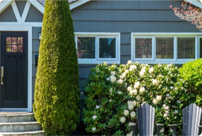 A house with a tall tree and bushes.
