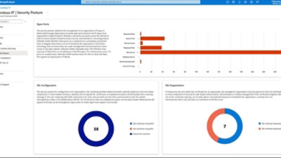OWASP Top 10 vulnerabilities with affected assets list.