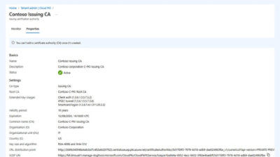 Issuing certificate authority properties overview
