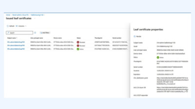Issued leaf certificates with status details