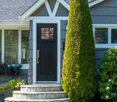 An image of a house with a trimmed tree outside and good sunlight