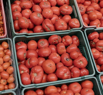 A group of baskets of tomatoes