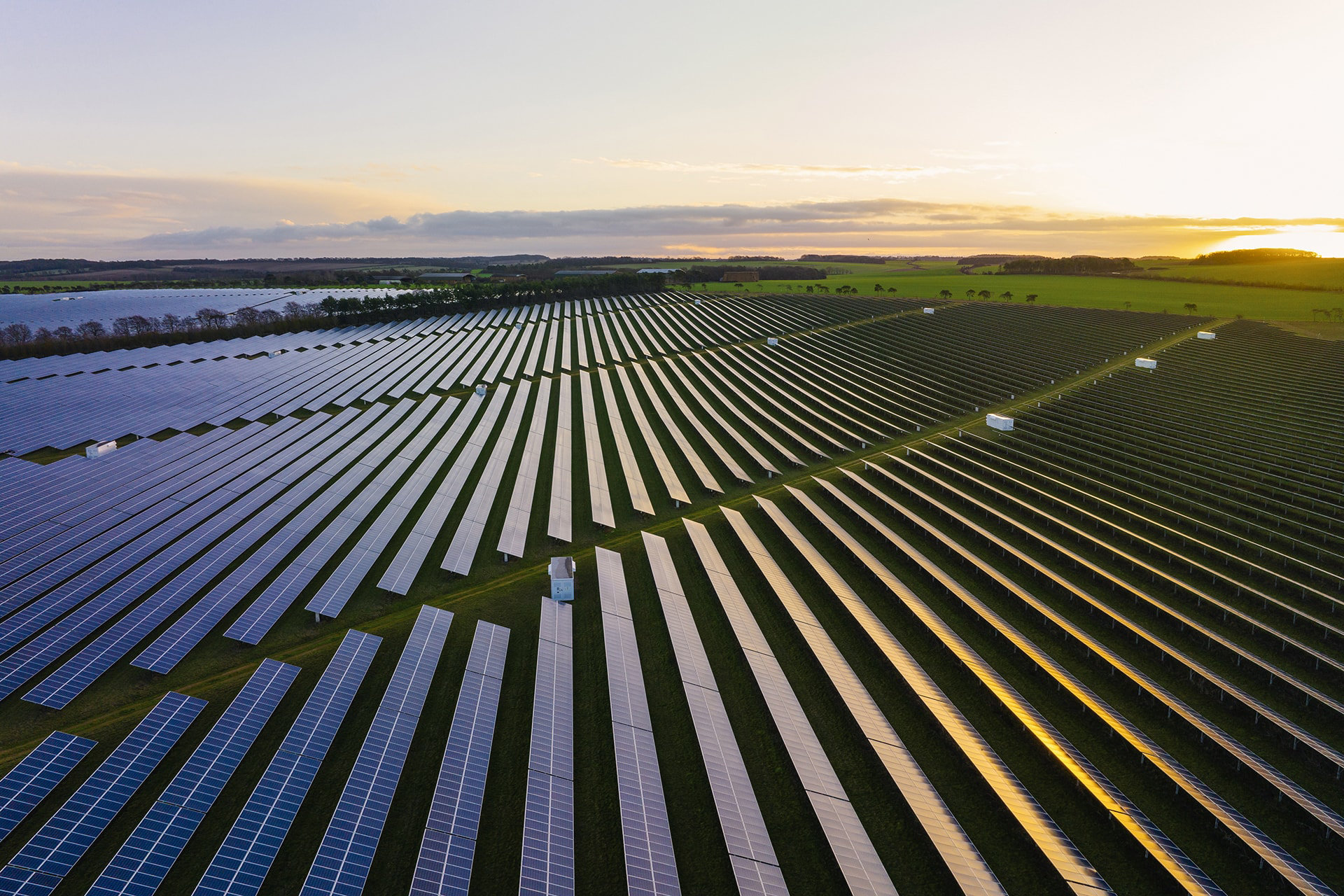 A field of solar panels.