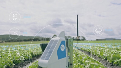 An agricultural data sensor sits in a field of crops.