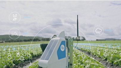 An agricultural data sensor sits in a field of crops.