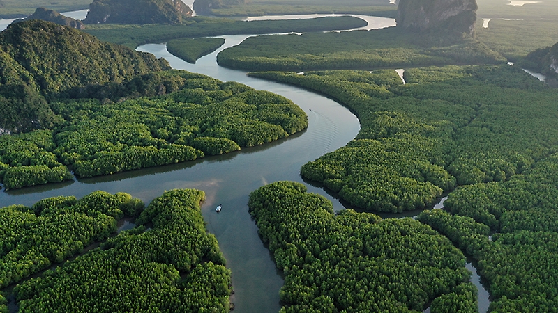 A winding river flowing through lush green forests and mountains.