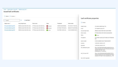 Išduotų lapų sertifikatų ekrano kopija